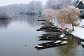 Barques
