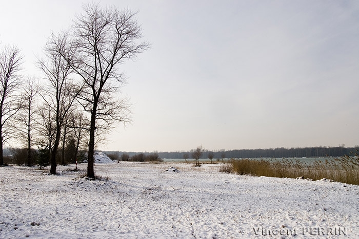 Hiver.jpg