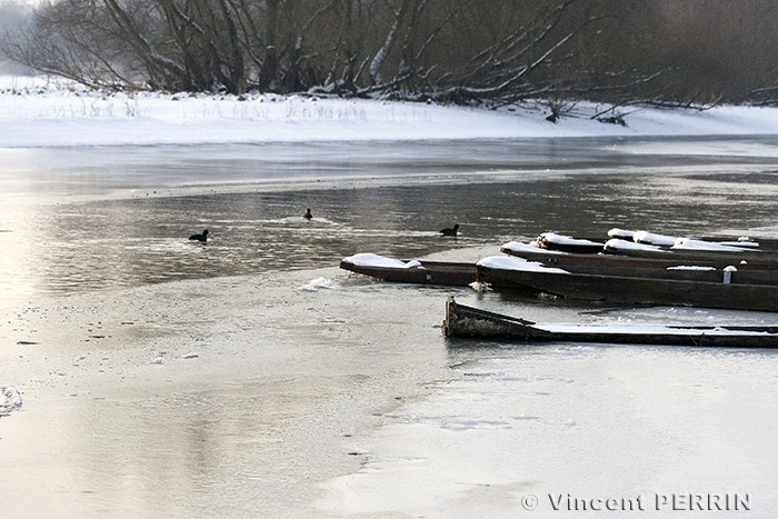 Riviere.jpg