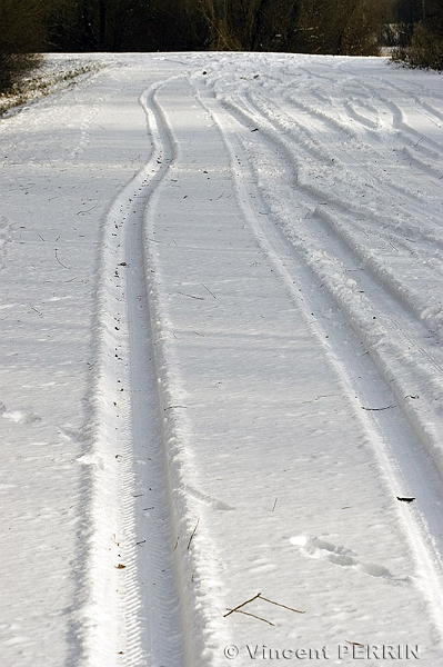 Traces.jpg