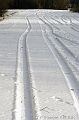 Traces