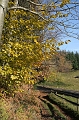 Automne